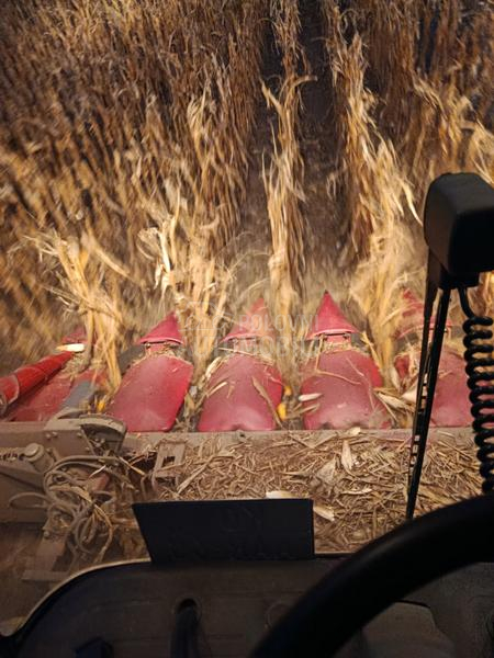 Capello capello Qyasar