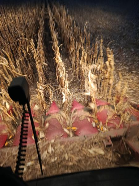 Capello capello Qyasar