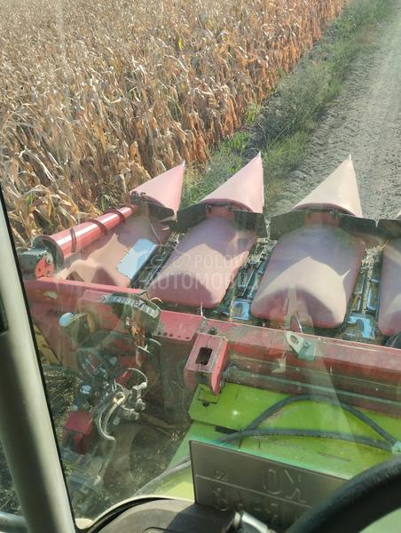 Capello capello Qyasar