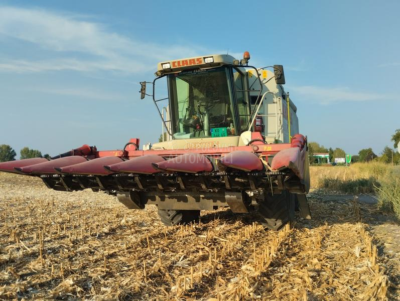 Capello capello Qyasar