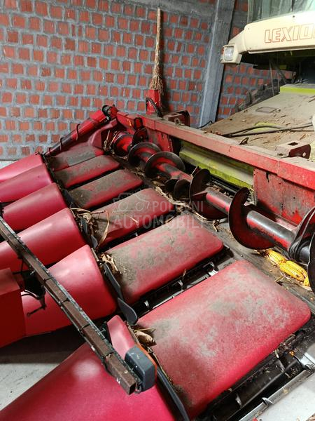 Capello capello Qyasar