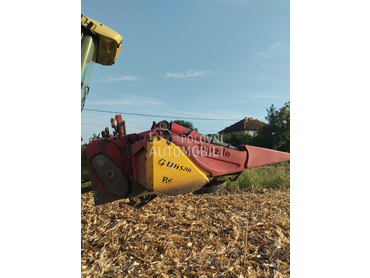 Capello capello Qyasar