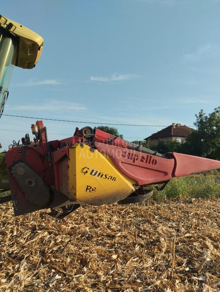 Capello capello Qyasar