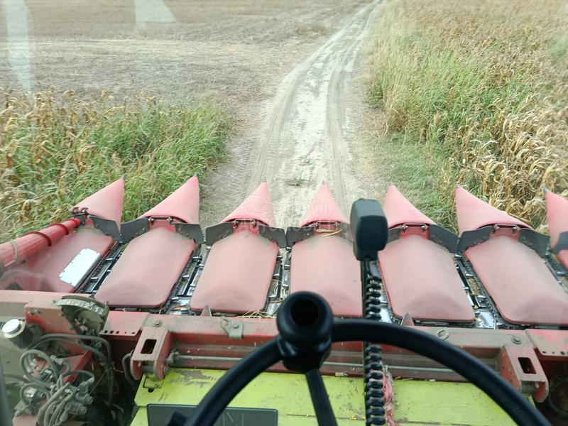 Capello capello Qyasar