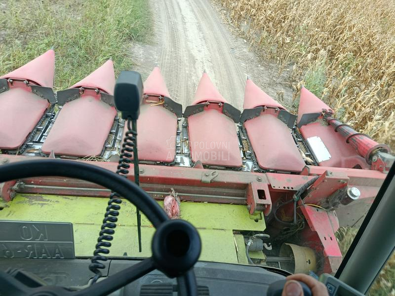 Capello capello Qyasar