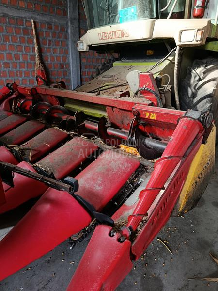 Capello capello Qyasar