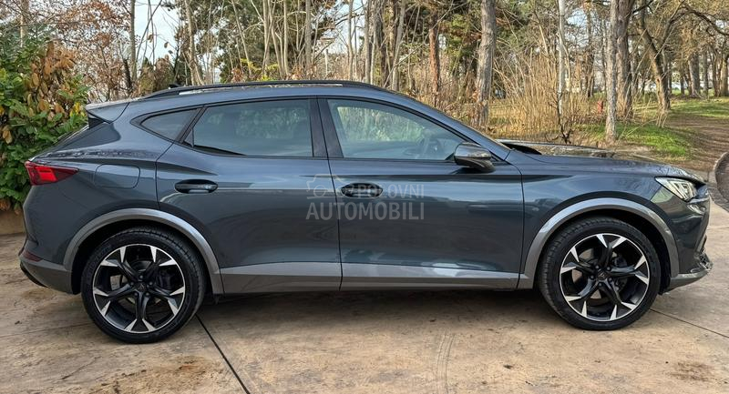 Cupra Formentor Vz/4x4/Beats/360