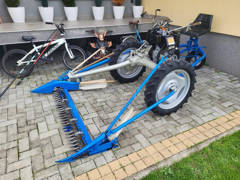 IMT bcs,muta,figara,imt