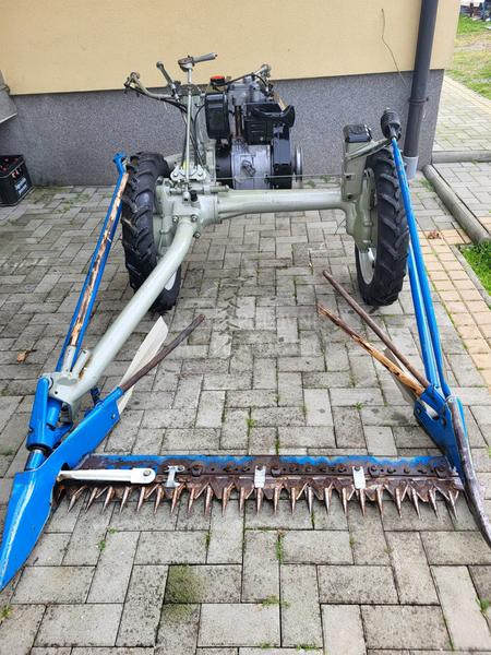 IMT bcs,muta,figara,imt