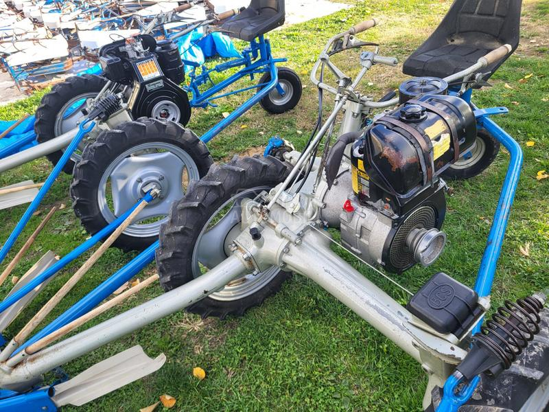 IMT bcs,muta,figara,imt