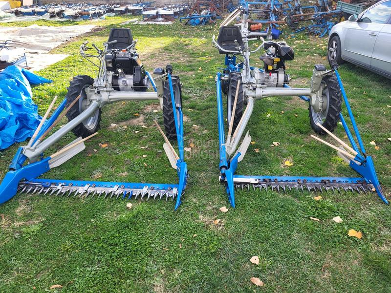 IMT bcs,muta,figara,imt