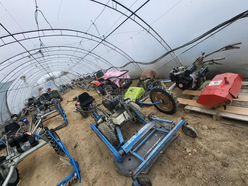 IMT bcs,muta,figara,imt