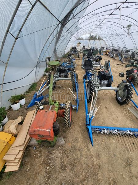 IMT bcs,muta,figara,imt