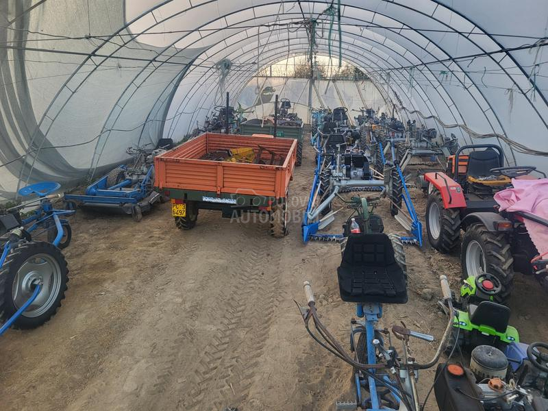 IMT bcs,muta,figara,imt