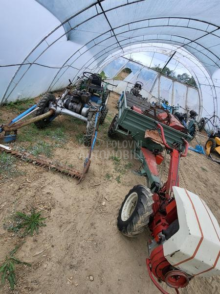 IMT bcs,muta,figara,imt