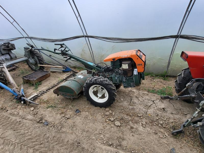 IMT bcs,muta,figara,imt