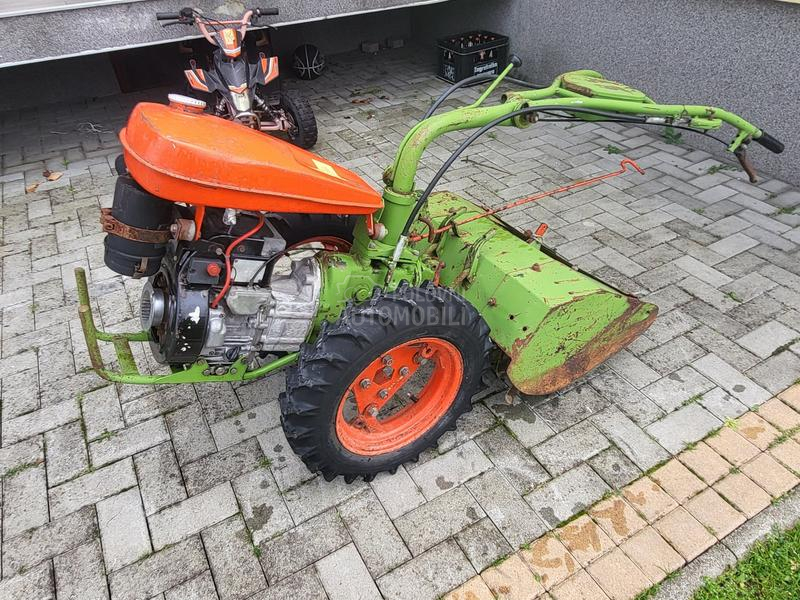 IMT bcs,muta,figara,imt