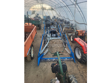 IMT bcs,muta,figara,imt