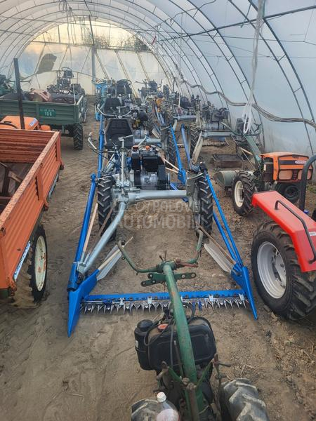 IMT bcs,muta,figara,imt