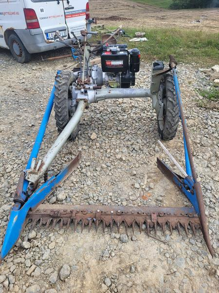 IMT bcs,muta,figara,imt