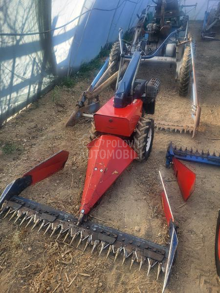 IMT bcs,muta,figara,imt