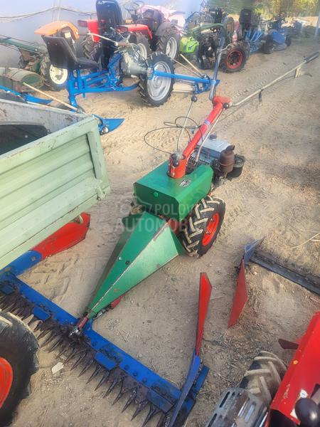 IMT bcs,muta,figara,imt