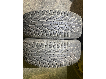 Riken 205/55 R16 Zimska
