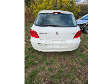 Gepek vrata za Peugeot 307