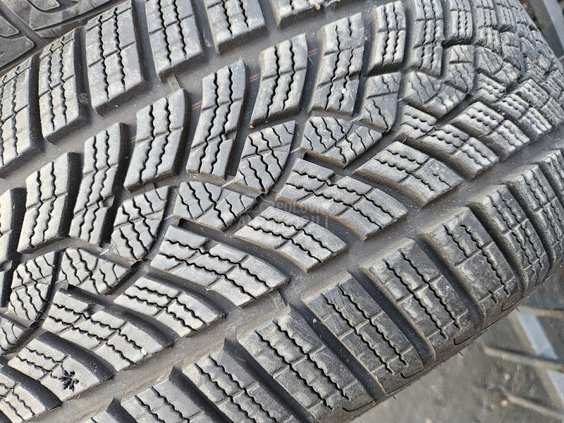 Goodyear 225/50 R17 Sve sezone