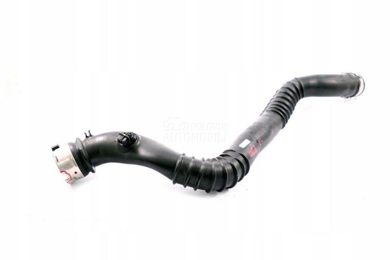 Cev, crevo, žica - sajla