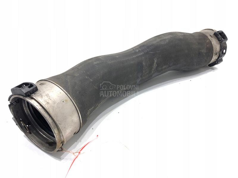 Cev, crevo, žica - sajla