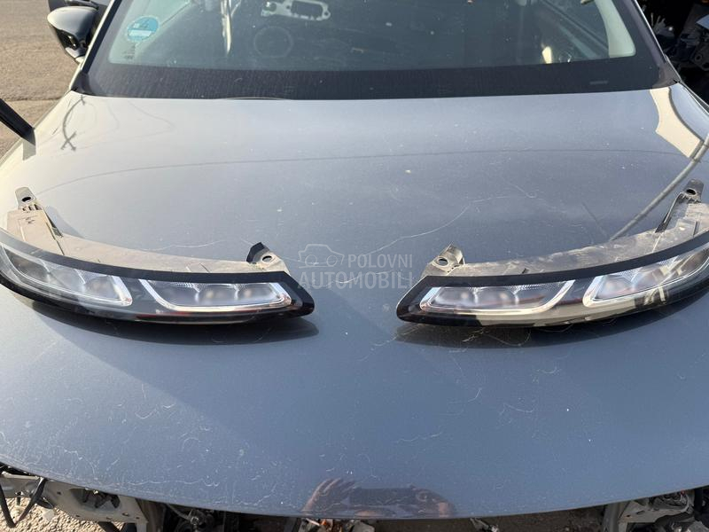 C4 cactus dnevna svetla