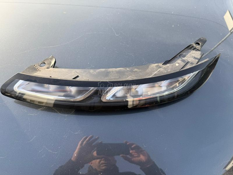 C4 cactus dnevna svetla