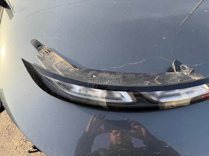 C4 cactus dnevna svetla