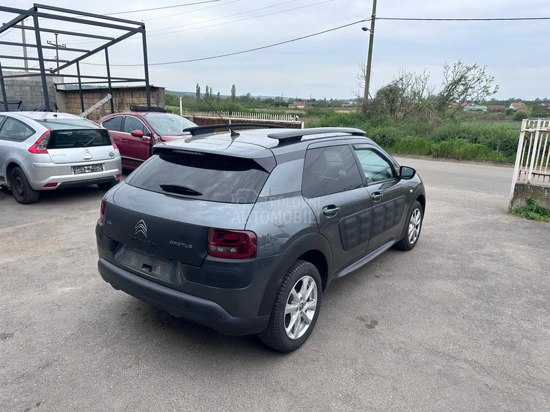 C4 cactus polovni delovi