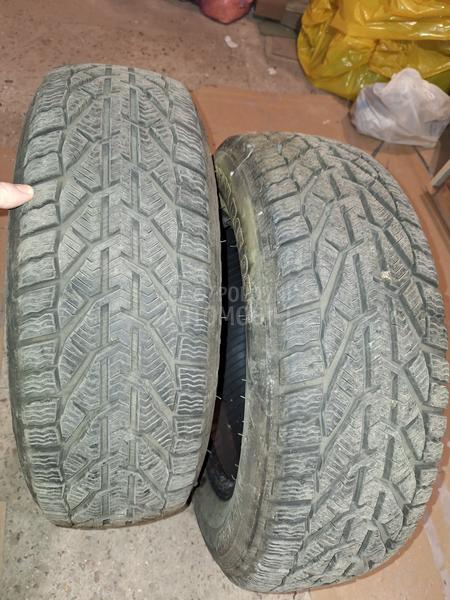 Tigar 195/65 R15 Zimska