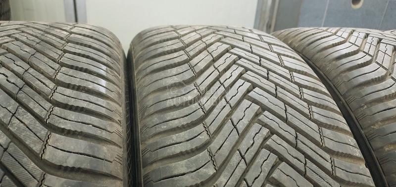 Nexen 235/50 R19 Sve sezone