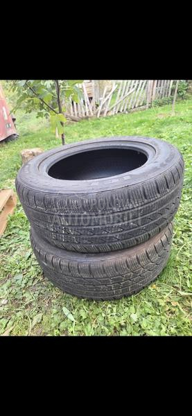 Minerva 225/55 R16 Zimska