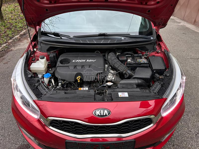 Kia pro_cee`d 1.6 crdi
