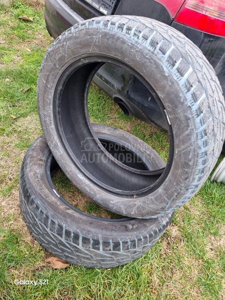Riken 225/50 R17 Zimska