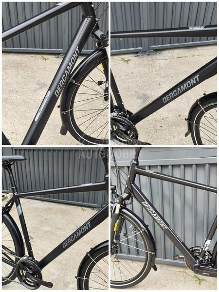 Bergamont Sponsor Disc XL