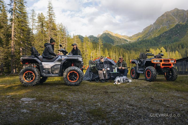 Goes TERROX 1000 STANDARD