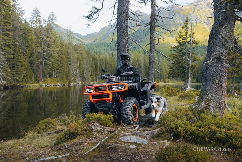 Goes TERROX 1000 STANDARD