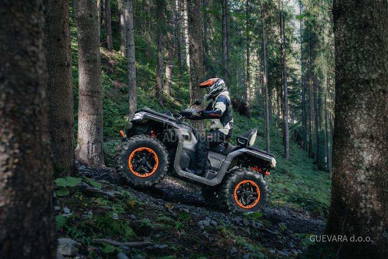 Goes TERROX 1000 STANDARD