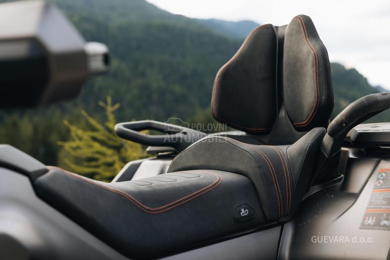 Goes TERROX 1000 STANDARD