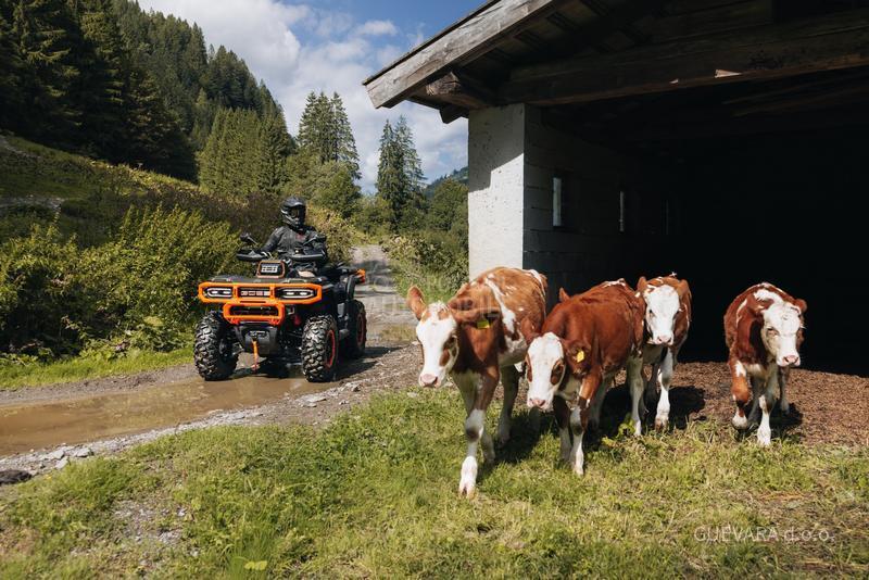 Goes TERROX 1000 STANDARD