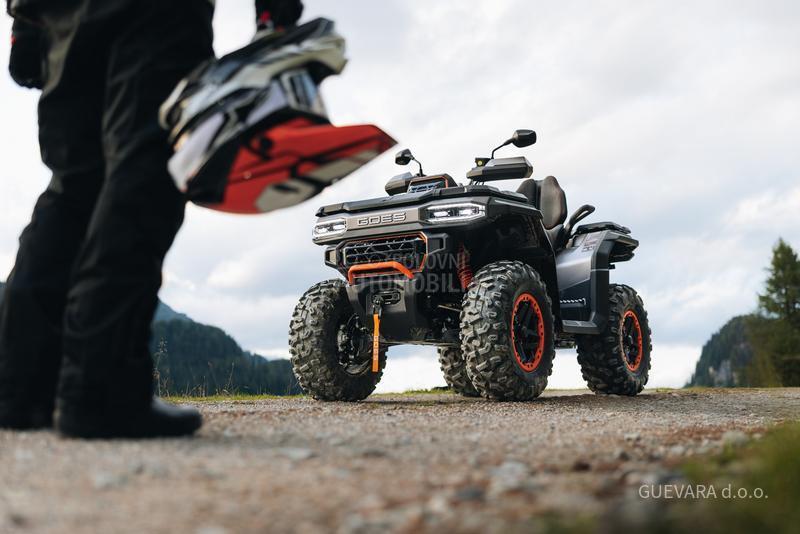 Goes TERROX 1000 STANDARD