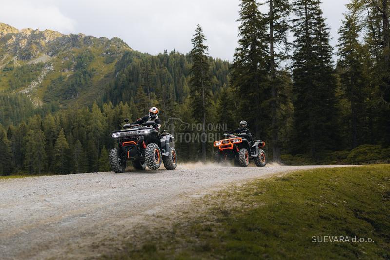 Goes TERROX 1000 STANDARD