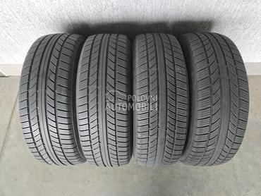 Nankang 225/65 R17 Sve sezone