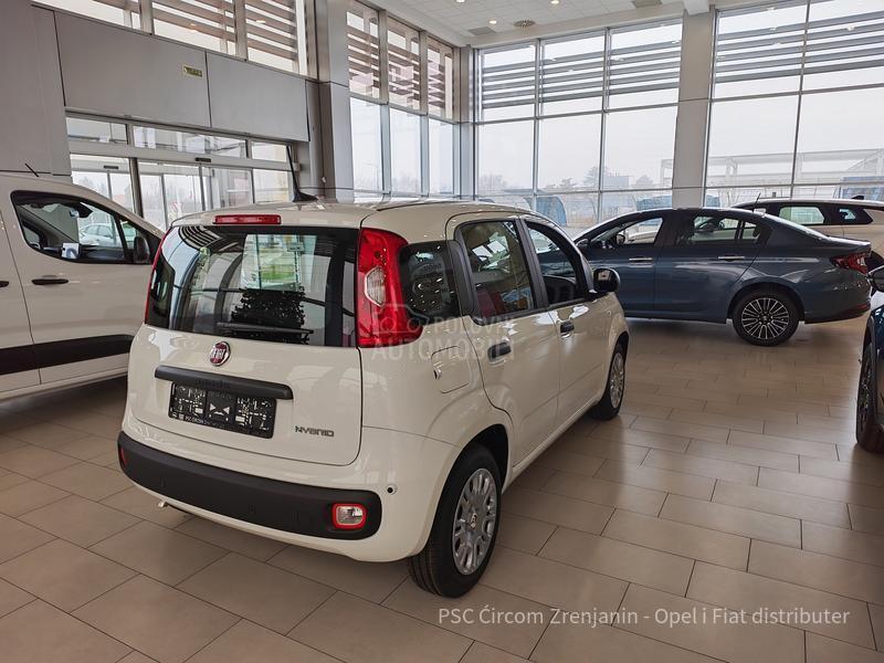 Fiat Panda ICON Hybrid